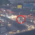 The unusual sighting was captured by a news helicopter during a live traffic broadcast.