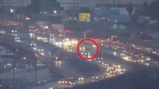 The unusual sighting was captured by a news helicopter during a live traffic broadcast.